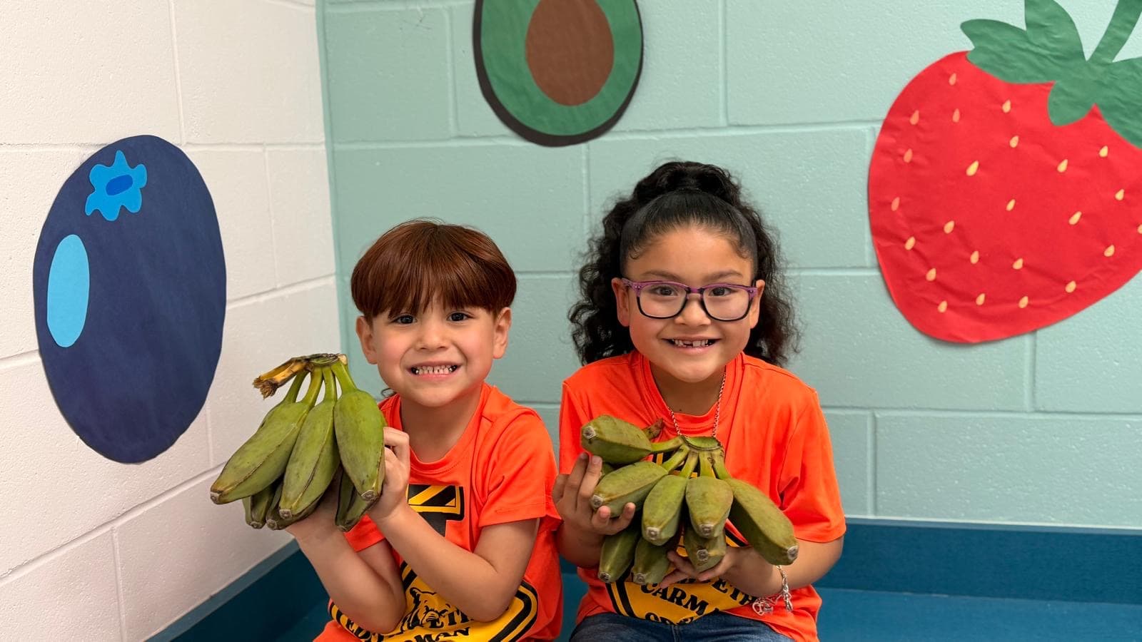 Bananas grown in the youth garden at the Boys & Girls Club Main Unit